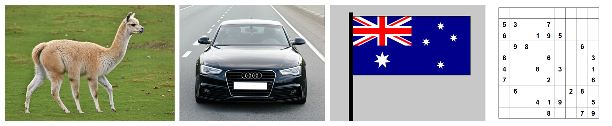 External Validity on VLMBias